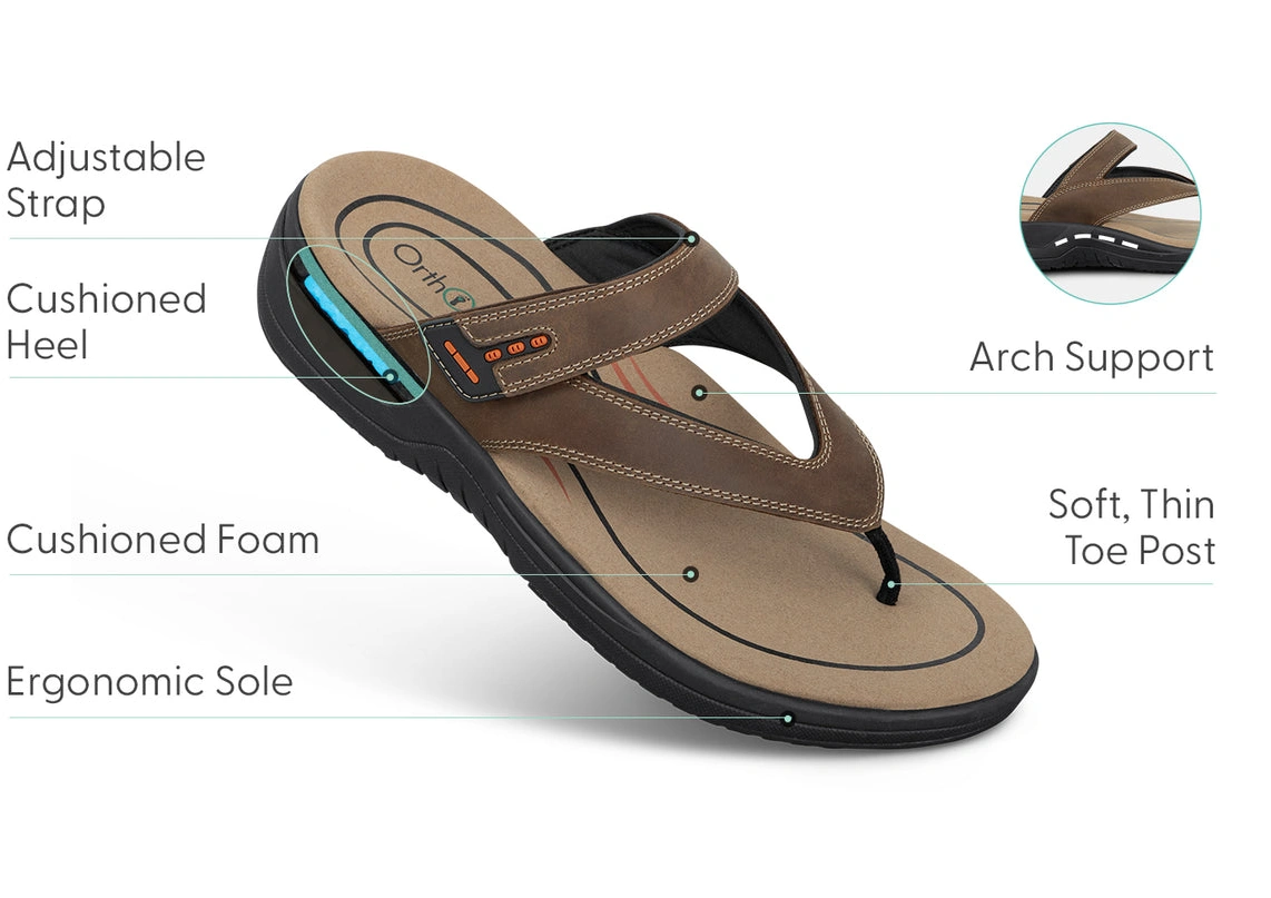 Online shopping savings Eldorado Brown 0511